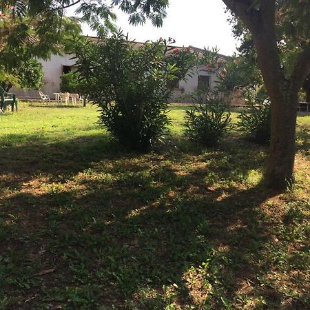 Apartmán Vigne Maio Ventiseri Exteriér fotografie